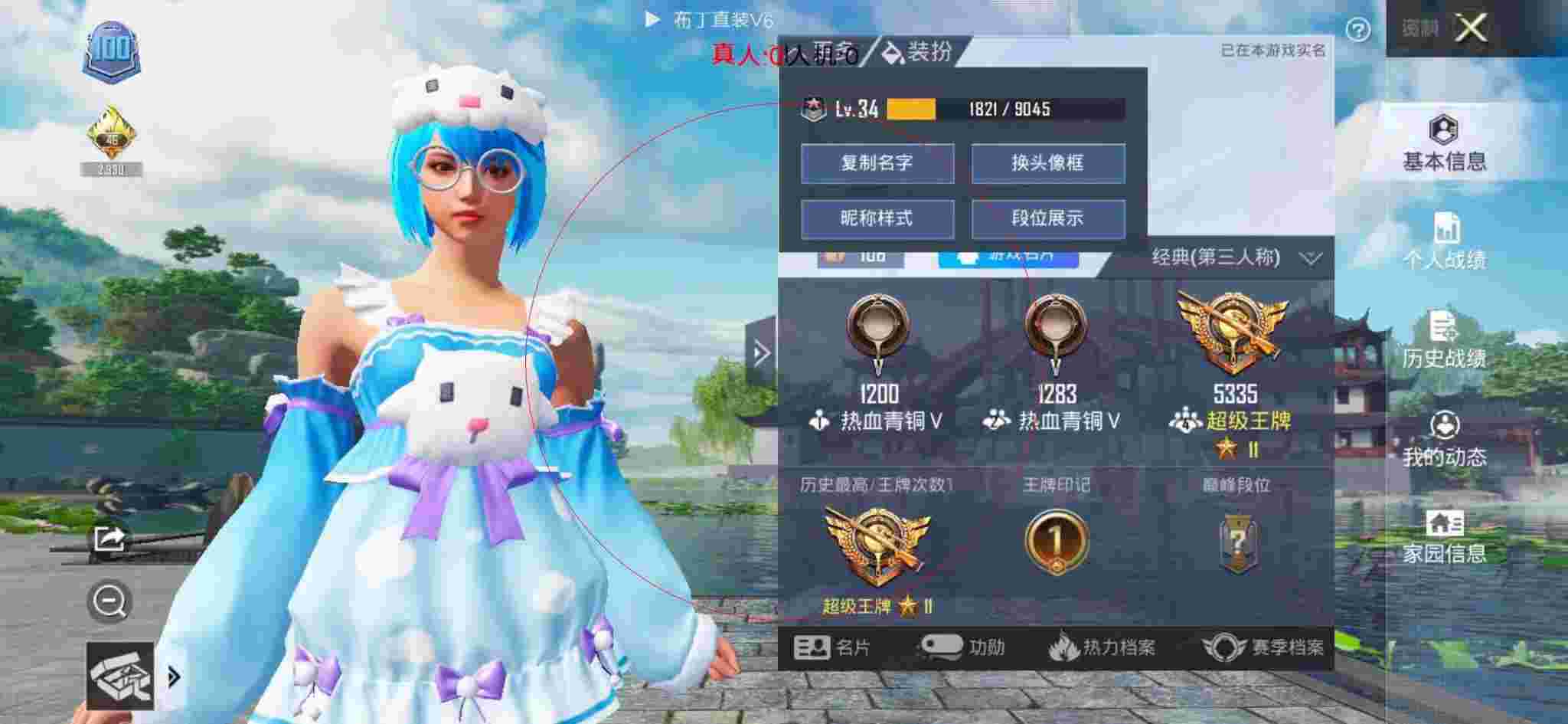 和平精英布丁直装透视 - 和平精英绿叶辅助官网版下载辅助预览图